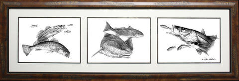 Pencil Art - Inshore Fish Slam Trio&#39;s