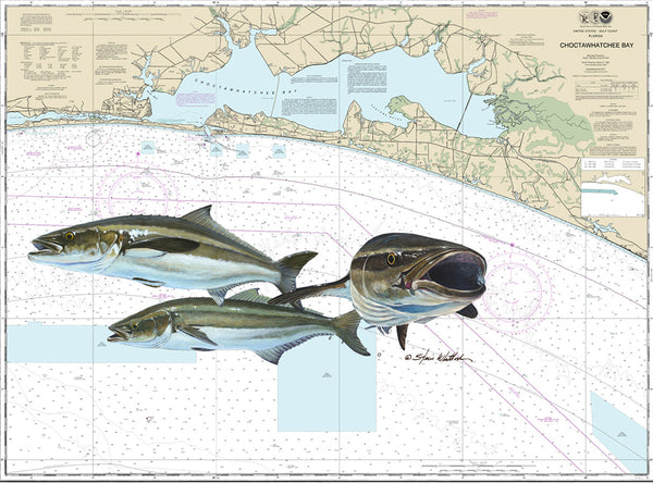 Chart_Art_Destin_Cobia_Steve_W