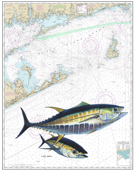 Chart Art | Montauk Tuna | Steve Whitlock Game Fish Art – Steve