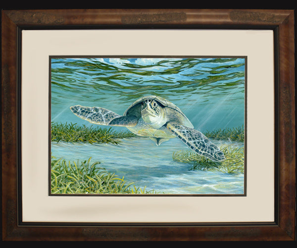 春先取りの Fr_Mini_Fine_Art_Seaturtle_Ste 絵画