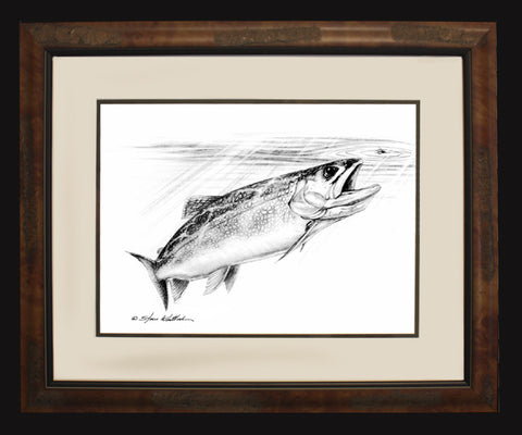 Pencil Art - Freshwater Fish &amp; Wildlife