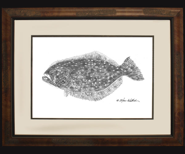Pencil Art - Flounder