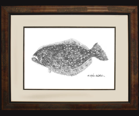 Pencil Art - Flounder