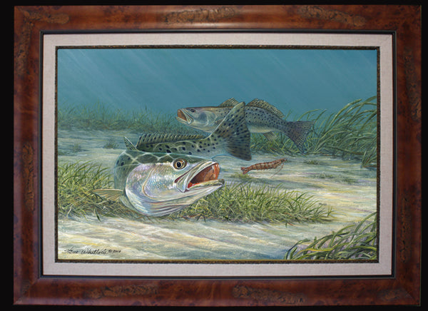 Speckled Trout Fishing Art Print By Artist, Mark Erickson, Speckled  Cockroach
