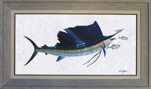 Acrylic Illustration - Sailfish