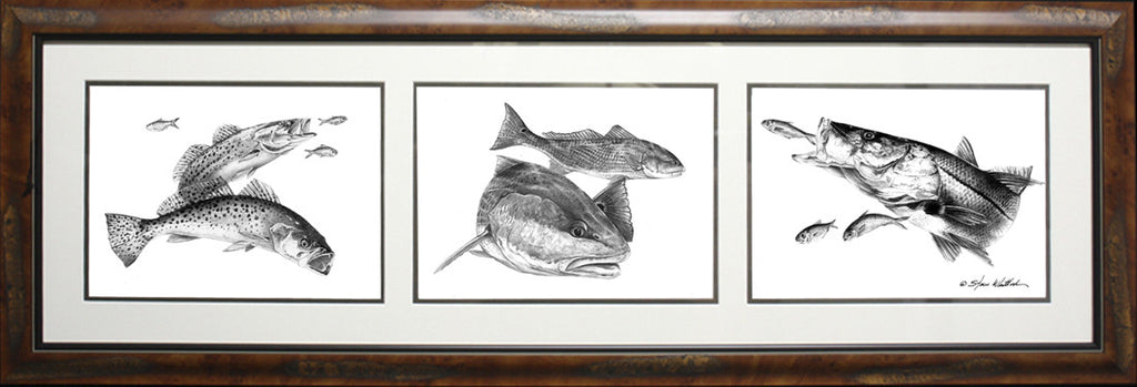 snook drawing realistic