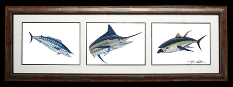 Fine Art - Color Slam Trio - Wahoo Marlin Tuna