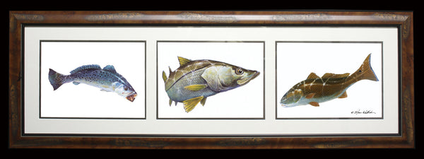 Fine Art  - Color Slam Trio - Sea Trout Snook Redfish