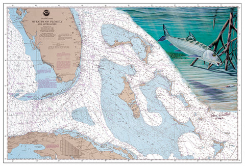 SALE - Bahamas Bonefish Chart Art