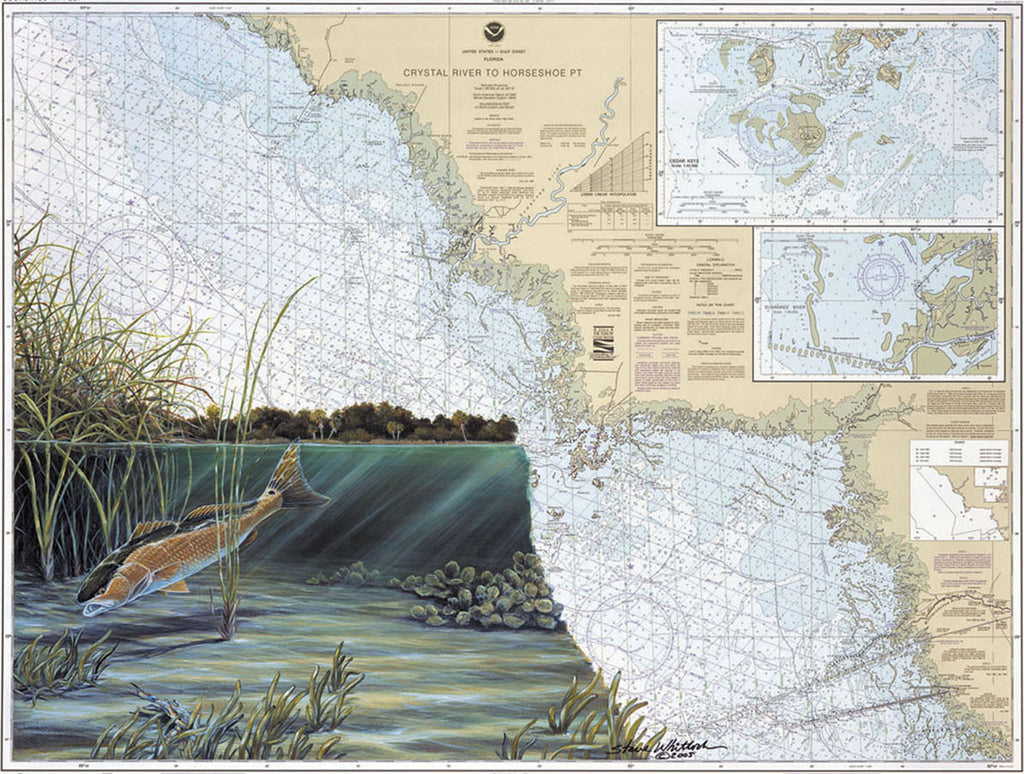 Tide Chart Crystal River