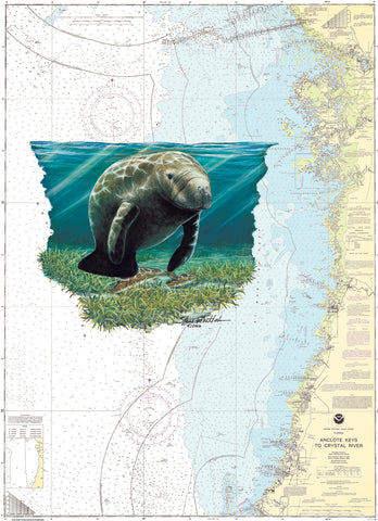 40% OFF SALE - Crystal River Manatee Chart Art