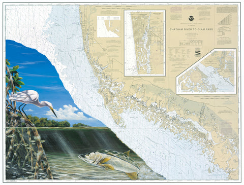 40% OFF SALE - Everglades Snook Chart Art