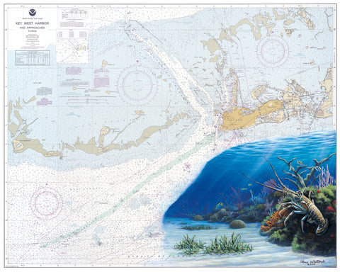 40% OFF SALE - FL Key West Spiny Lobster Chart Art