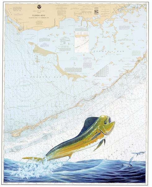 SALE - Middle FL Keys Dolphin Chart Art