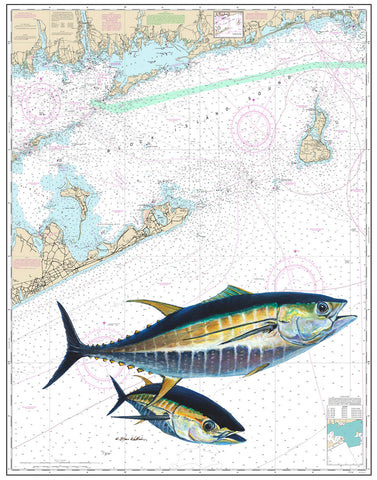 SALE - Montauk Tuna Chart Art