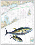 Chart Art - Montauk Tuna