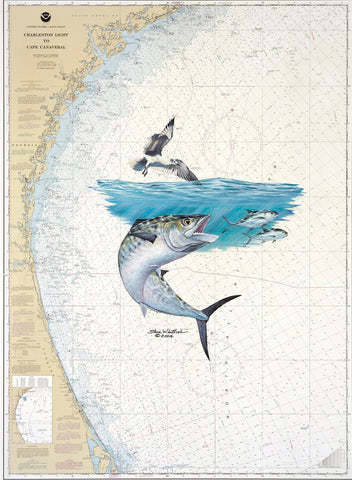 SALE - Southeast Kingfish Chart Art