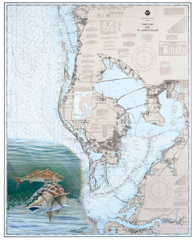 SALE - Tampa Bay Redfish Chart Art