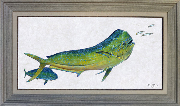 Acrylic Illustration - Bull Dolphin Fish
