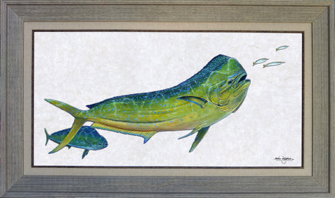 Acrylic Illustration - Bull Dolphin Fish