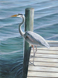 Fine Art - Blue Heron on Dock