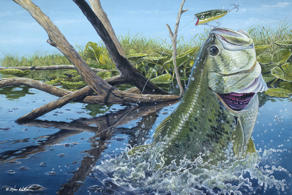 Fine Art | Lucky 13 (Largemouth Bass)