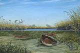 Fine Art - Up the Creek Redfish Canvasback Ducks