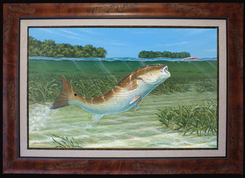 Fine Art - Bokeelia Redfish