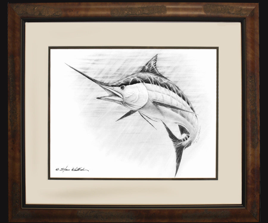 Pencil Art | Blue Marlin | Steve Whitlock Game Fish Art