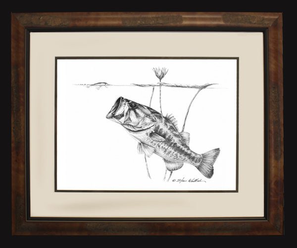 Pencil Art - Under the Lillies Largemouth Bass