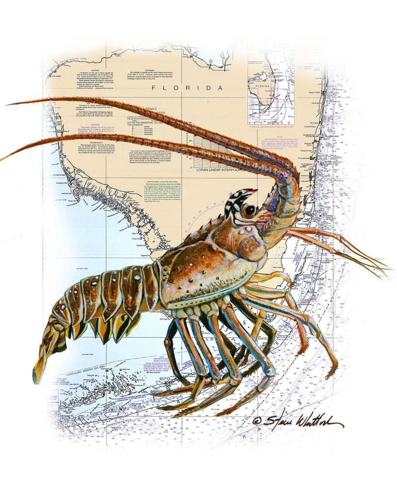 Lobzilla Chart Art | Lobzilla FL Spiny Lobster | Steve Whitlock Game Fish Art ...