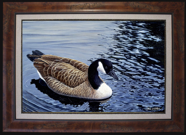 Fine Art - Canada Goose