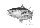Pencil Art - Yellowfin Tuna