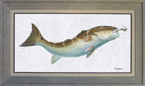 Acrylic Illustration - Redfish